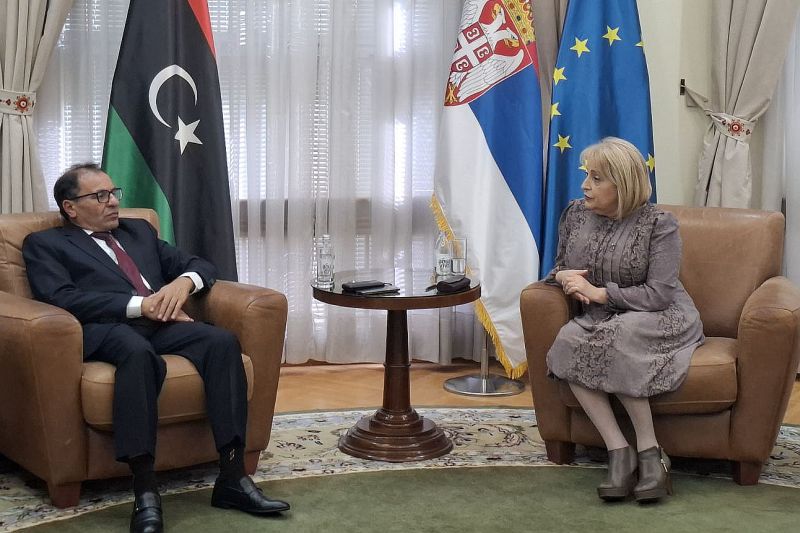 More intensive cooperation of higher education institutions of Serbia, Libya