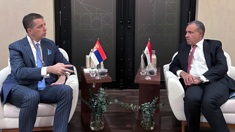 Serbia determined to further strengthen relations with Egypt in all domains