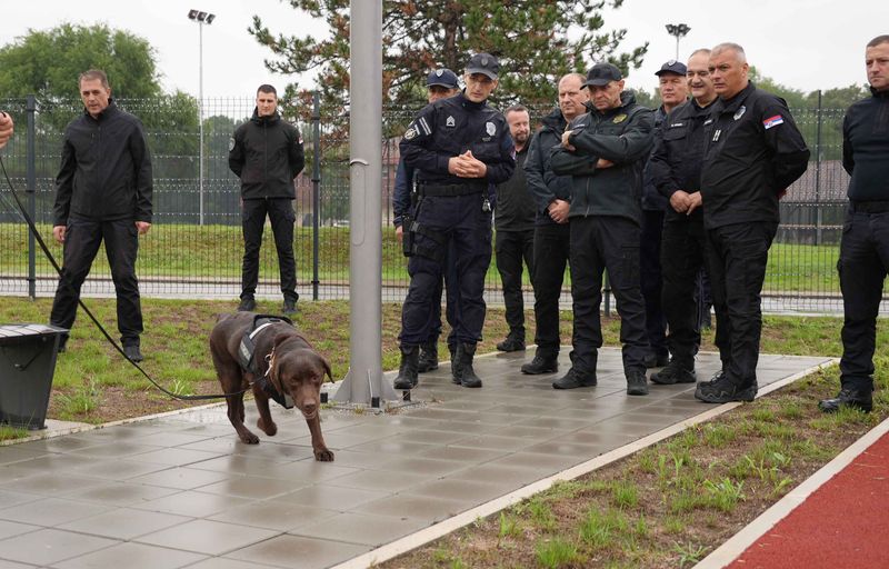 Добро дресирани службени пси поуздан ослонац полицајцима