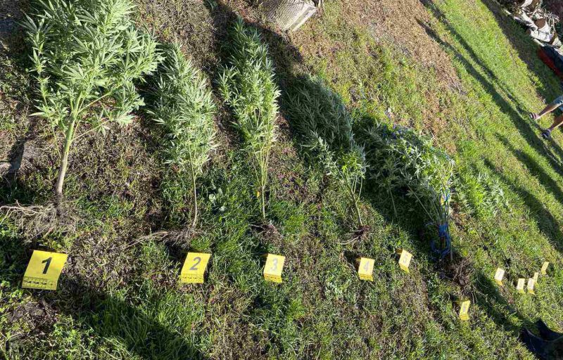 У Београду ухапшене три особе због трговине дрогом