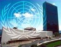 Коштуница путује у Њујорк на седницу СБ УН