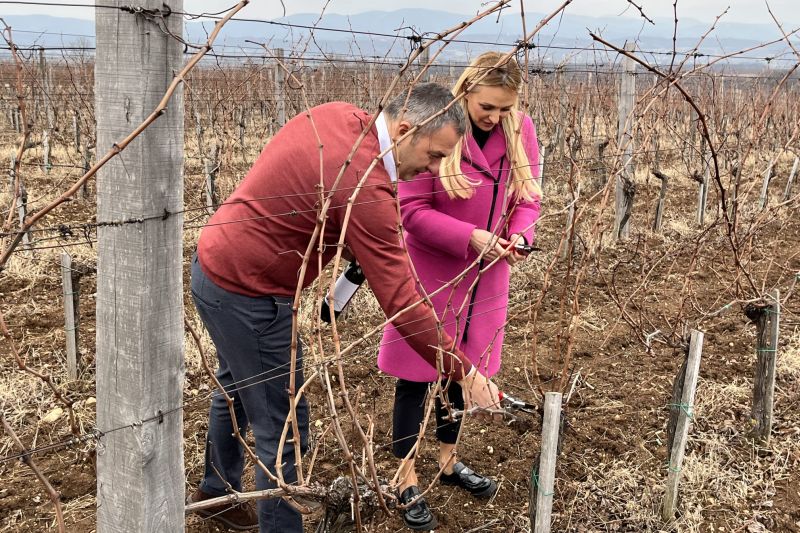 Србија се све више издваја у региону и свету по квалитету вина