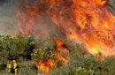 Србија ће пружити помоћ Црној Гори у гашењу пожара