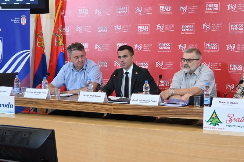 Српска дијаспора упозната са припремама за скуп „Јединство и снага – Србијаˮ