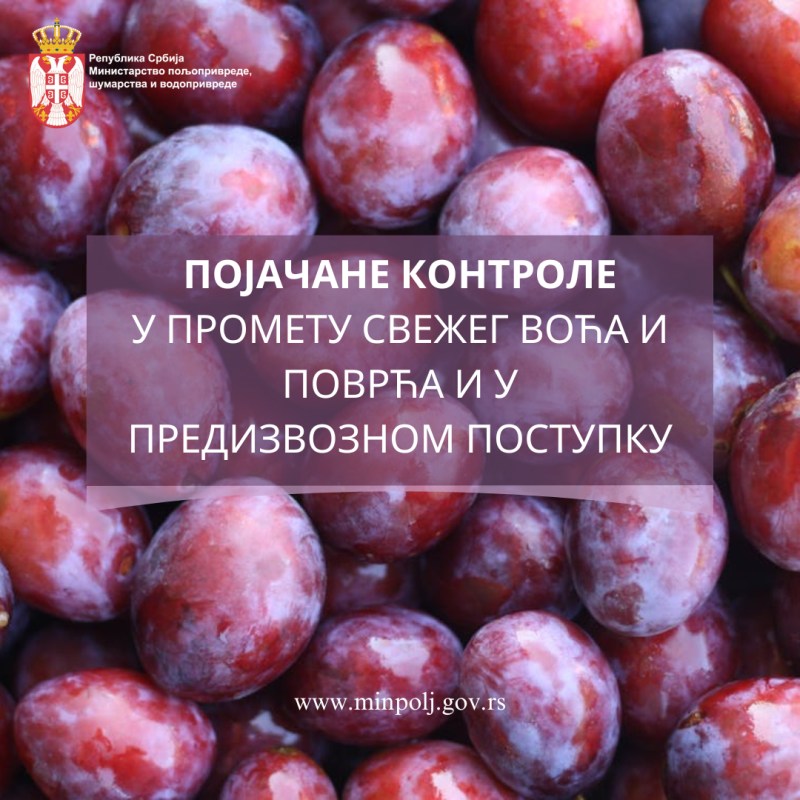 Појачан надзор у предизвозном поступку свежег воћа и поврћа