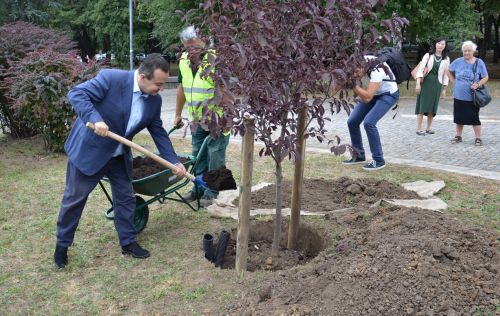 Јачање пријатељства и сарадње Србије и Јапана